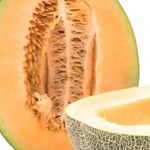 Cantaloupe Melon